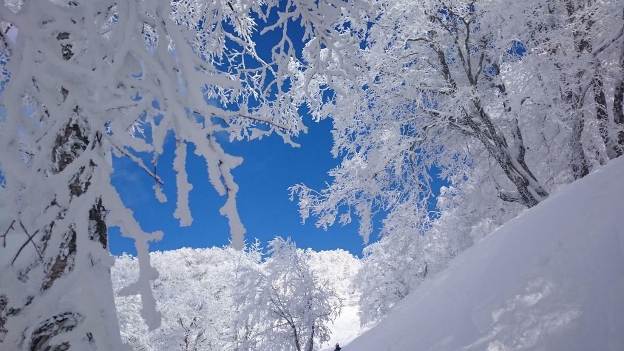 Nozawa Dream Central Exterior photo