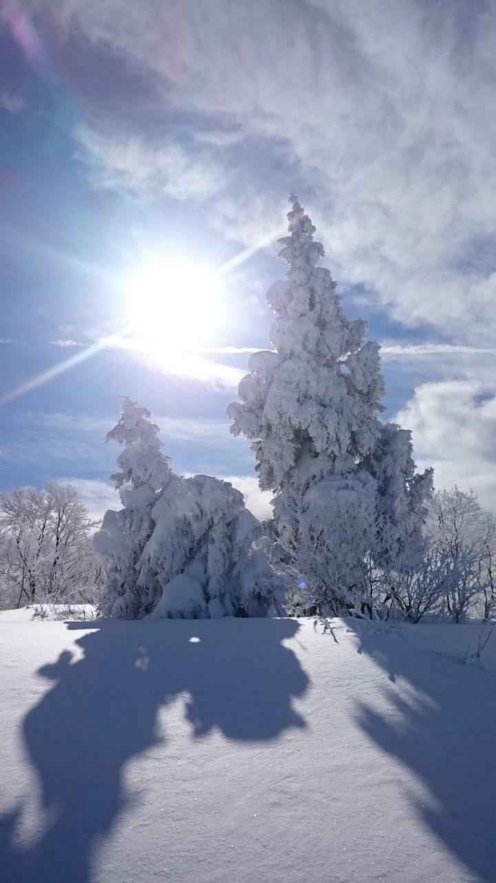 Nozawa Dream Central Exterior photo