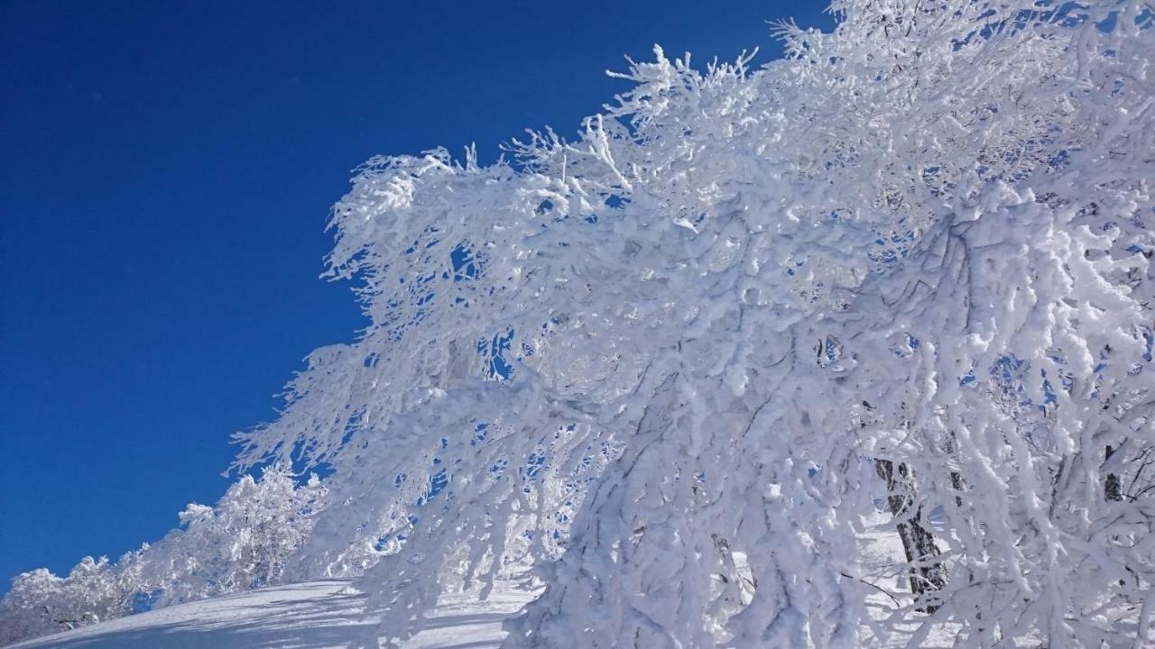 Nozawa Dream Central Exterior photo